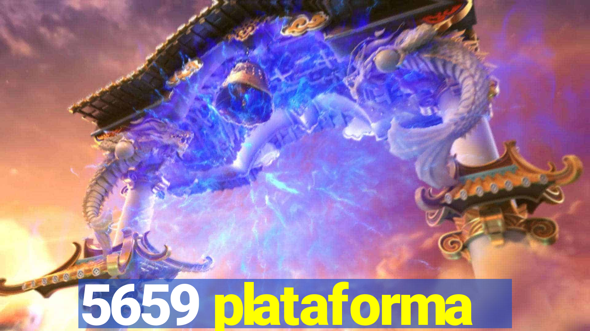 5659 plataforma